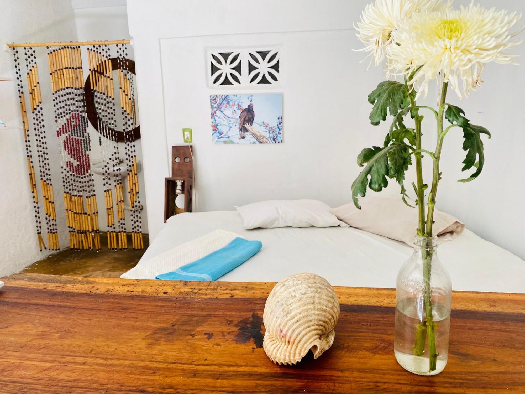 Hostal Mar De Fondo Zipolite Eksteriør billede